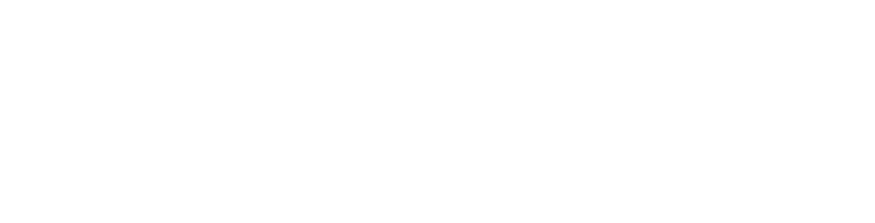 Hong Wolfe Investments